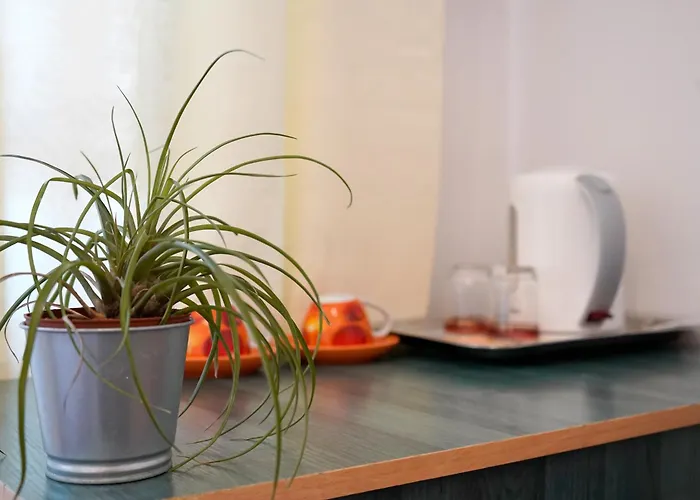 Хостел Dom Studencki Zodiak Вроцлав